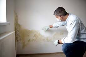 Mold Odor Removal Services in Poway, CA